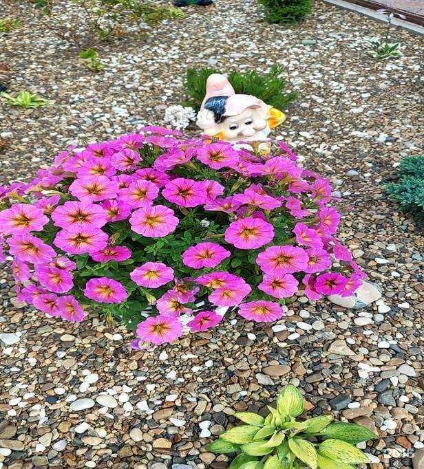 Отзывы на компанию Дворъ цветовъ в Тюмени c фото