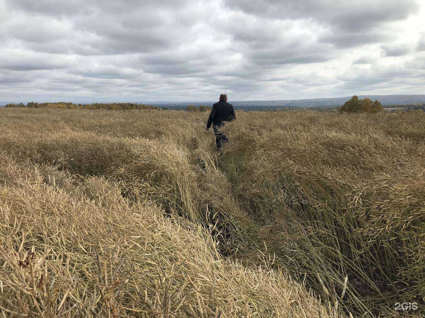 Отзывы на компанию Сибирский реликт в г. Красноярск c фото