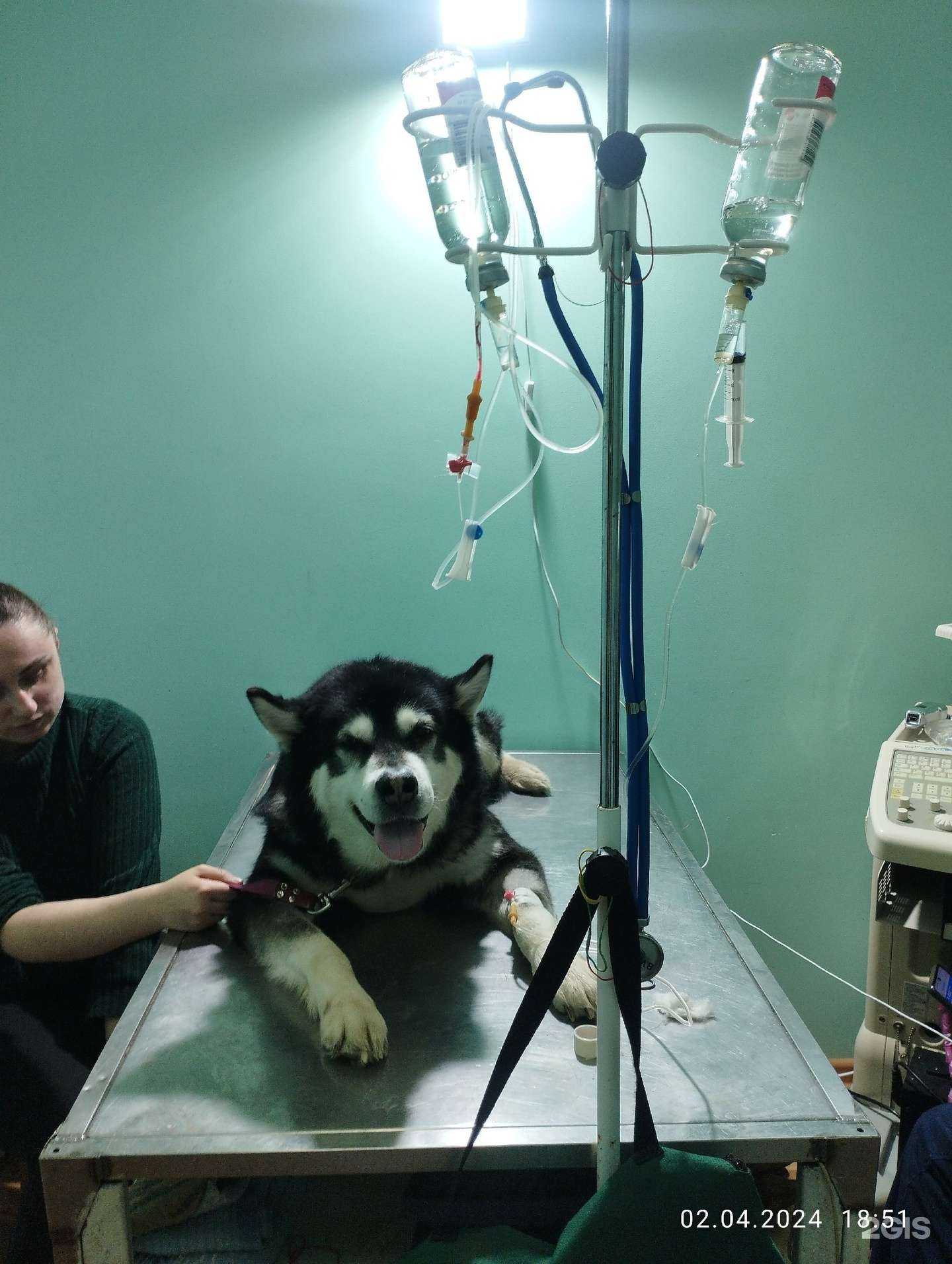 Отзывы на компанию Эконом в Перми c фото