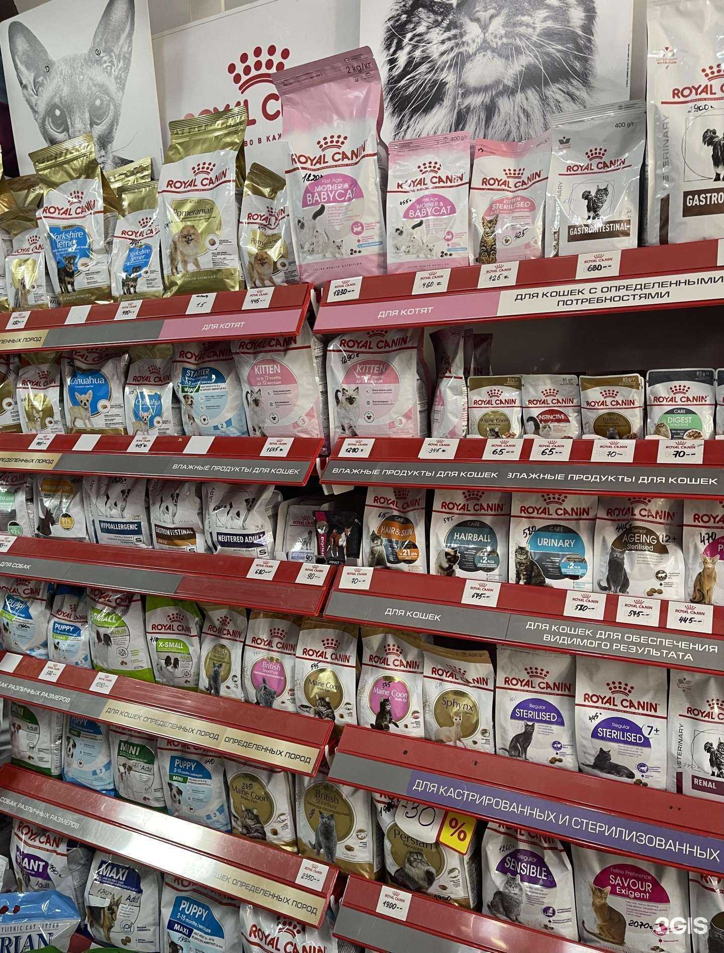 Отзывы на компанию Моська в Сочи c фото