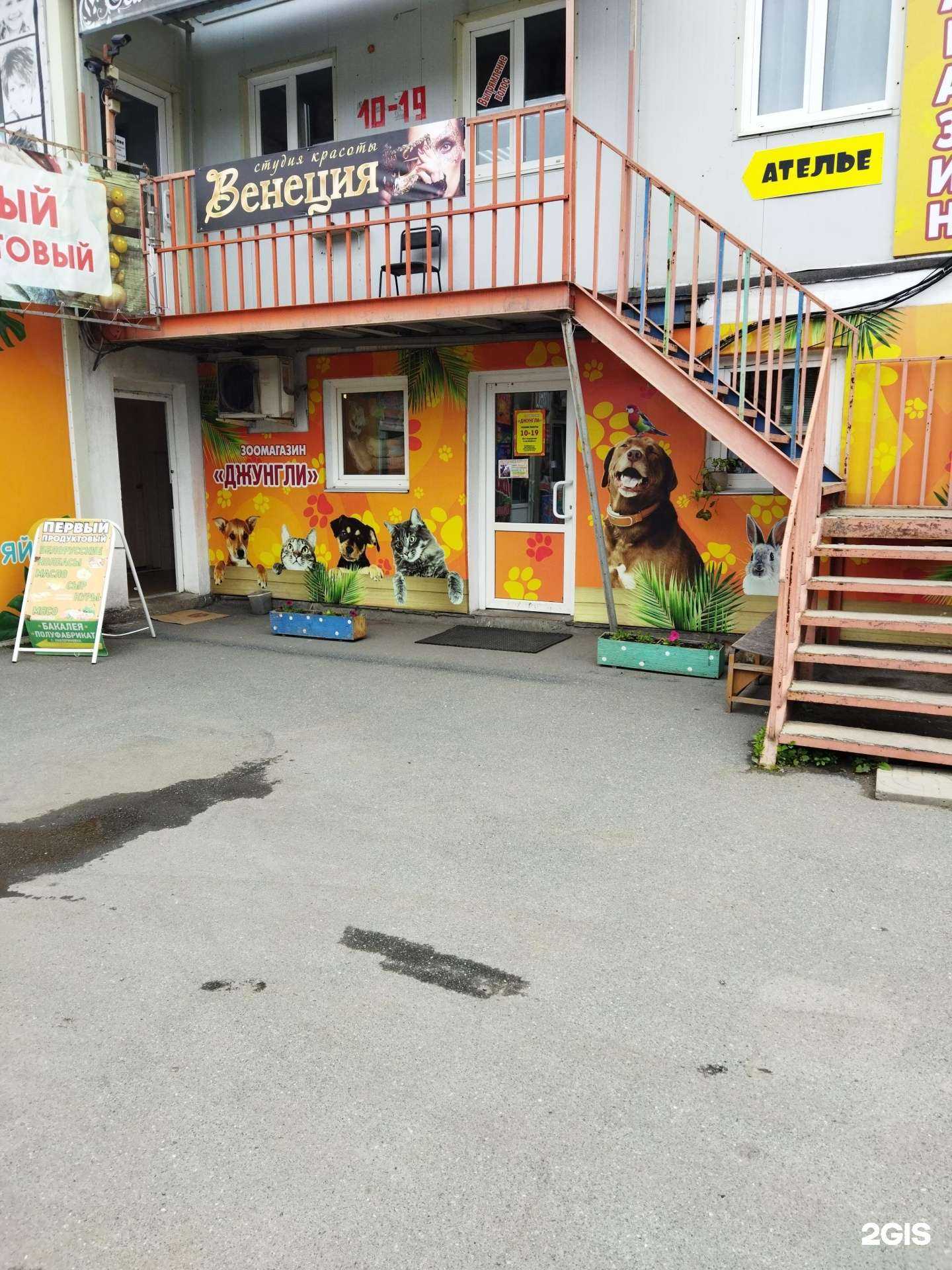 Отзывы на компанию Джунгли в г. Находка c фото