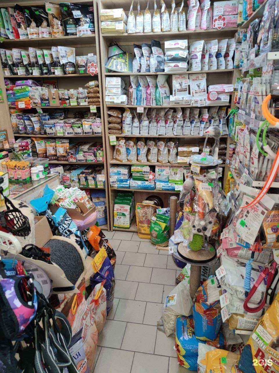 Отзывы на компанию Хвостушки в Новокузнецке c фото