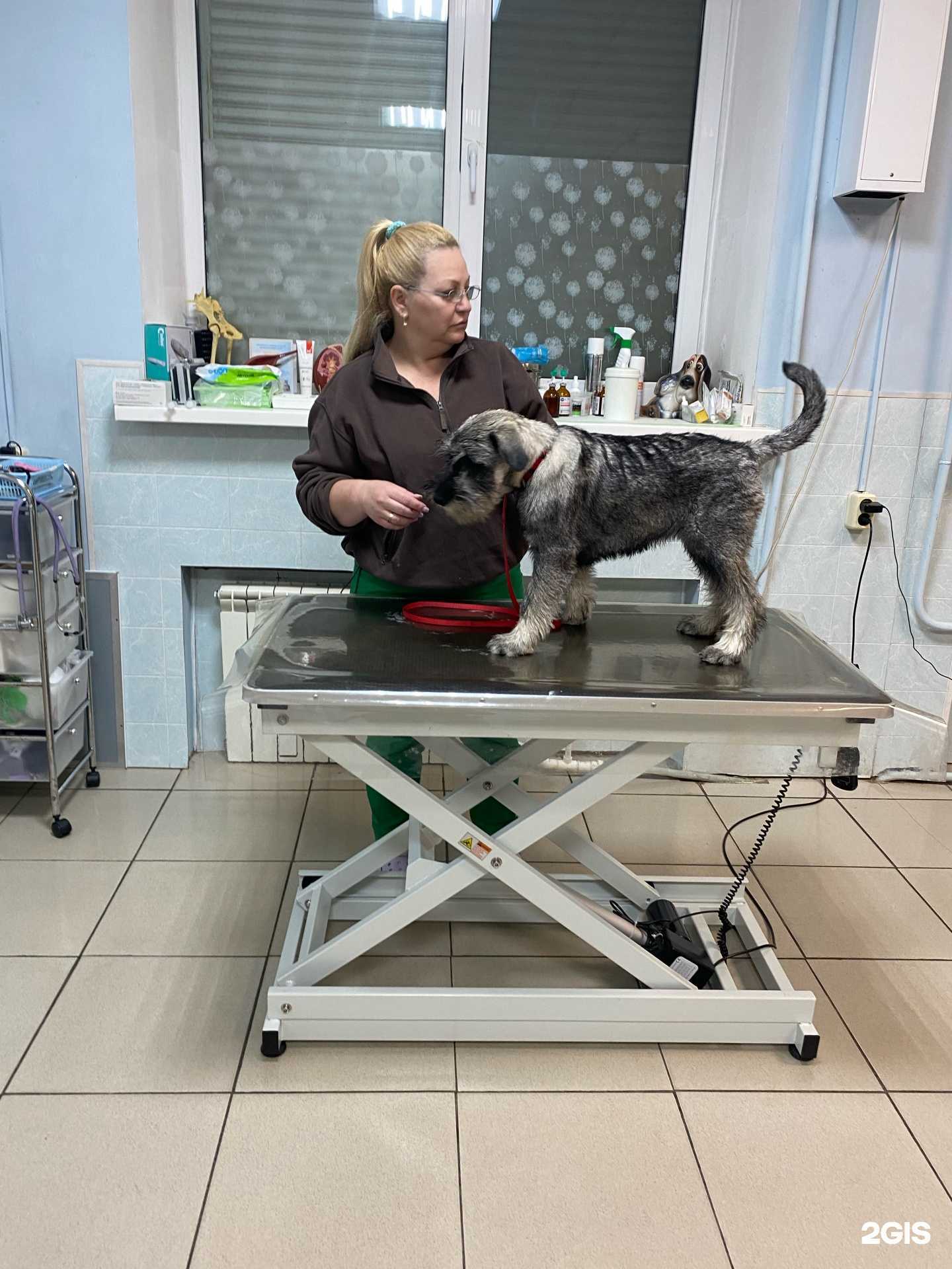 Отзывы на компанию Ринас в Артёме c фото