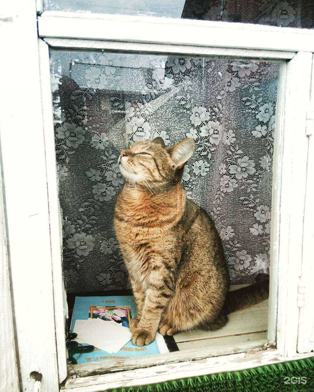 Отзывы на компанию Глория в Вологде c фото