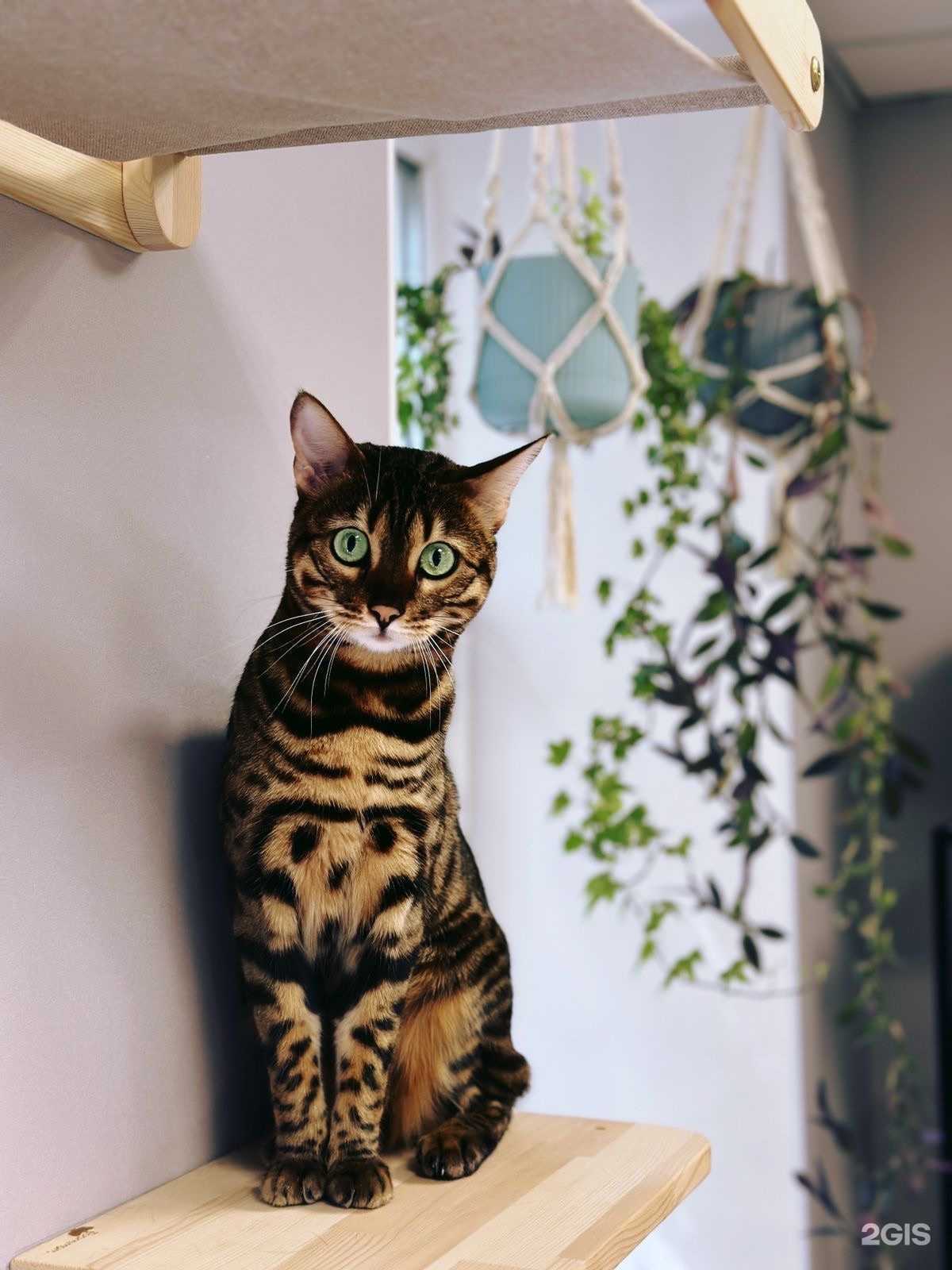 Отзывы на компанию Матроскин в Екатеринбурге c фото