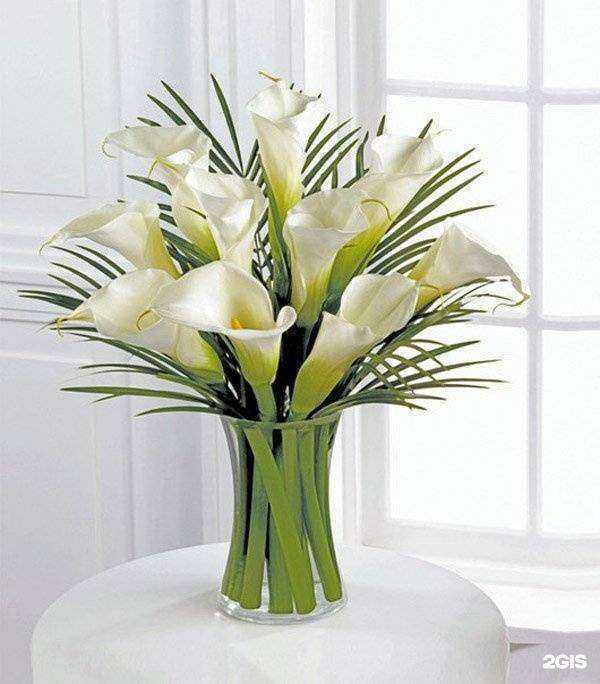 Отзывы на компанию Асмагуль в Набережных Челнах c фото