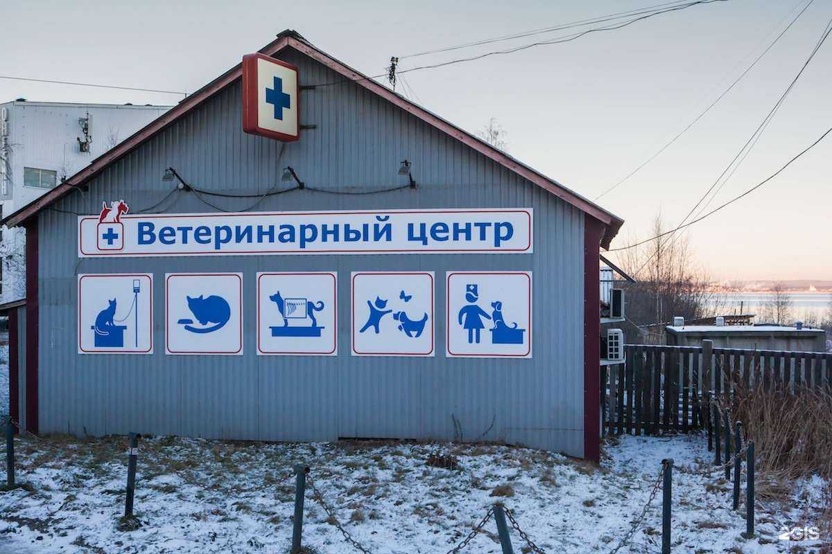 Отзывы на компанию Ветеринарный центр в Петрозаводске c фото