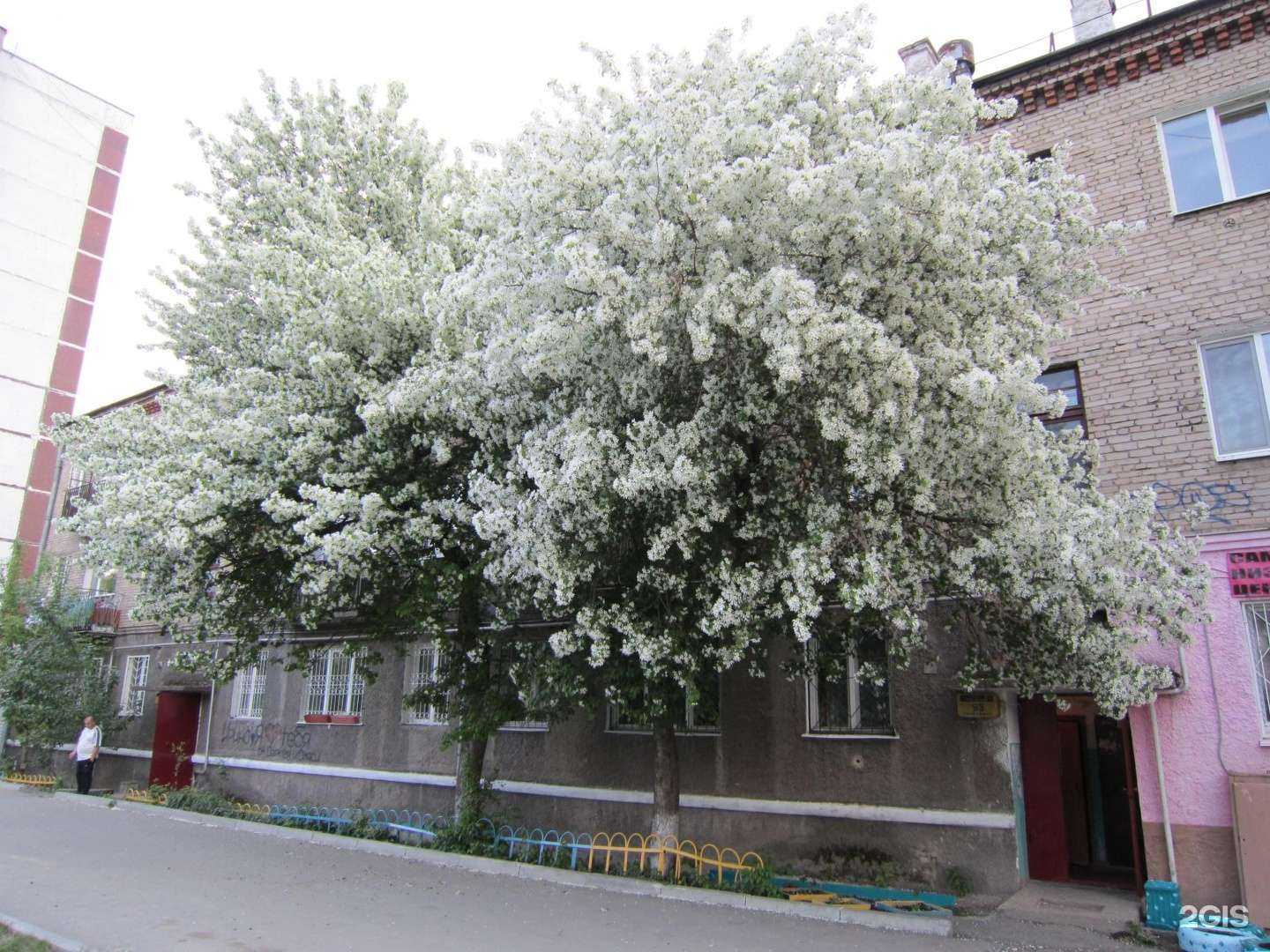 Отзывы на компанию Твой образ в Перми c фото - фотография 2 из 2