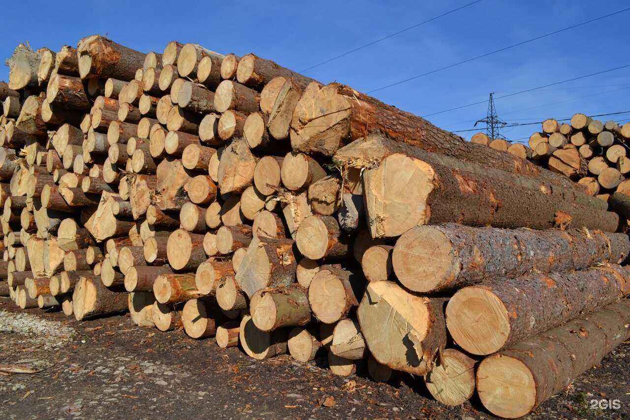 Отзывы на компанию Иммортэль в г. Калуга c фото