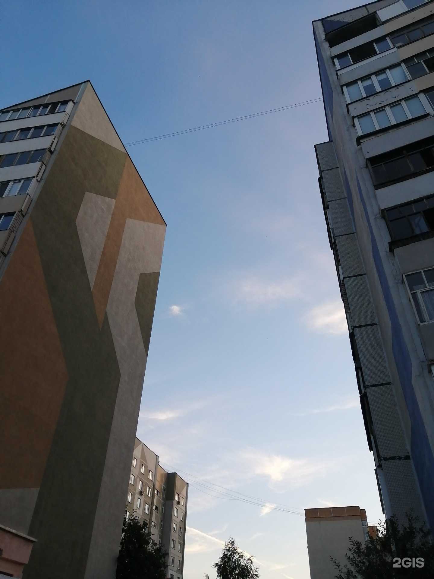 Отзывы на компанию Dikey Ai-Studio в г. Казань c фото