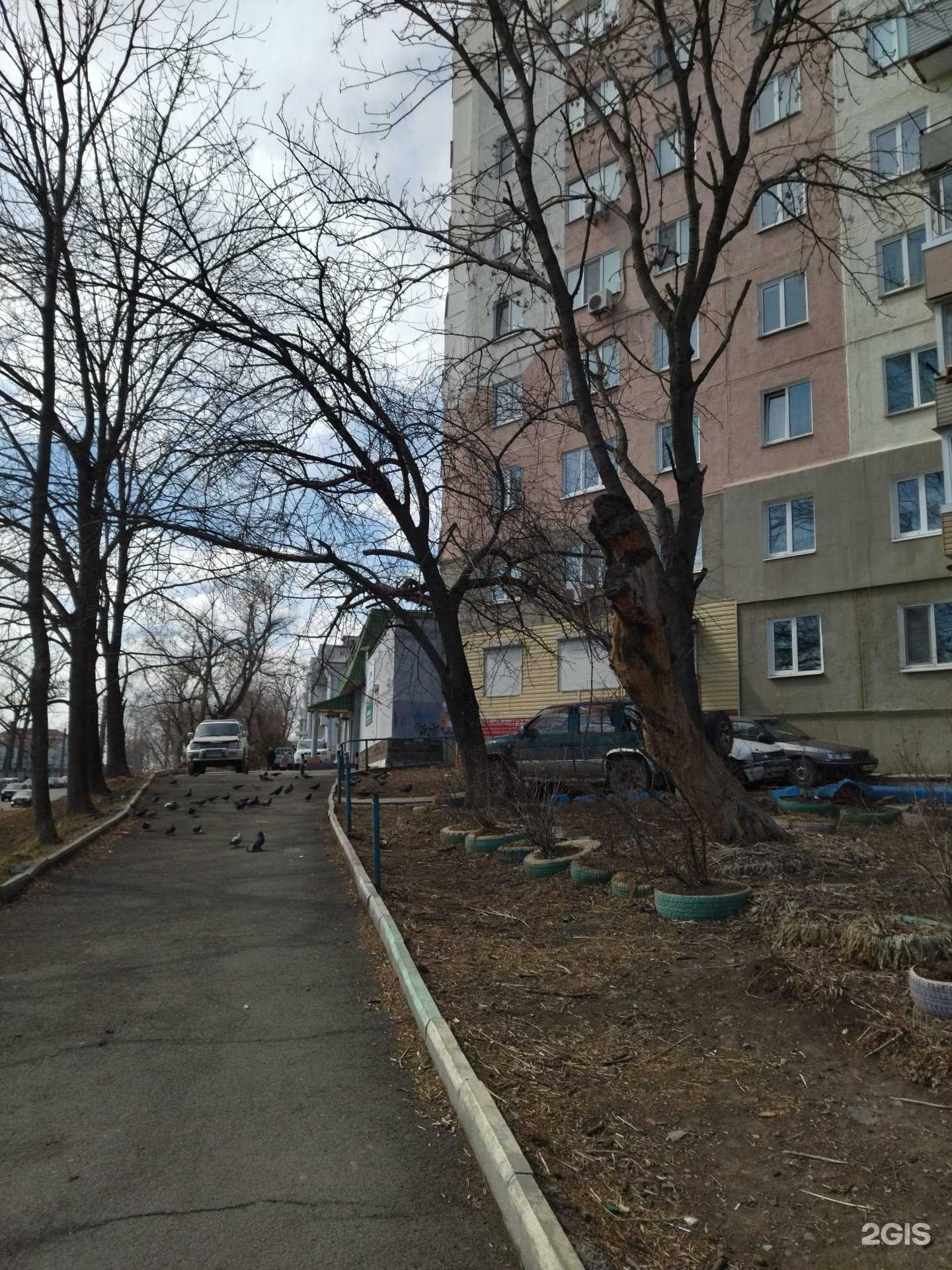 Отзывы на компанию Лакки Мебель в Владивостоке c фото - фотография 2 из 2