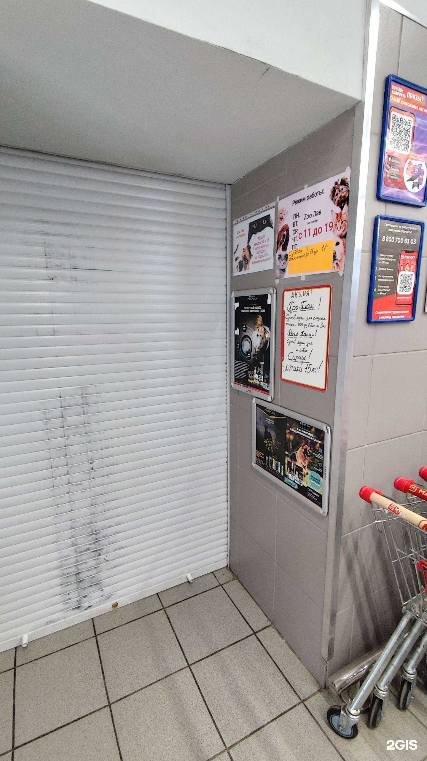 Отзывы на компанию Zoo Лав в г. Северодвинск c фото