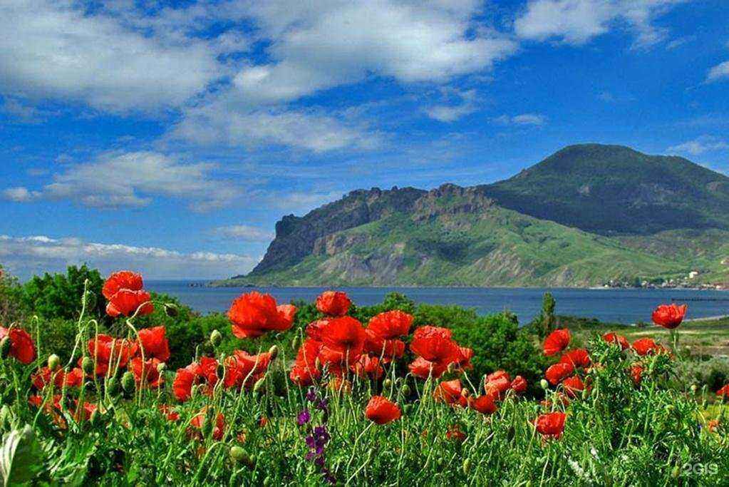 Отзывы на компанию Миден-агро в Саратове c фото