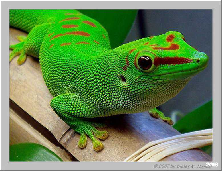 Отзывы на компанию Ноев Ковчег в г. Набережные Челны c фото