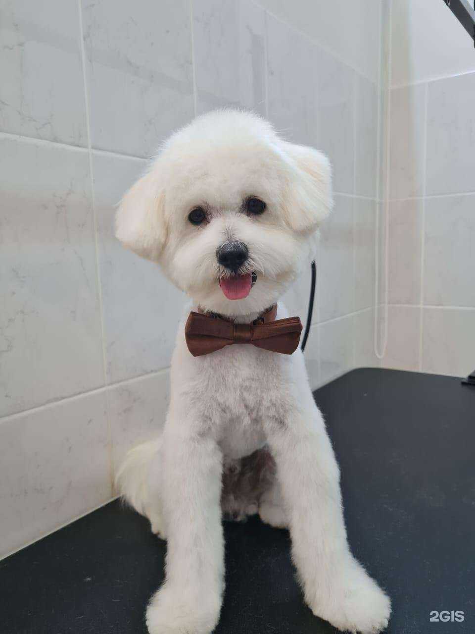 Отзывы на компанию Красный кролик в г. Новосибирск c фото