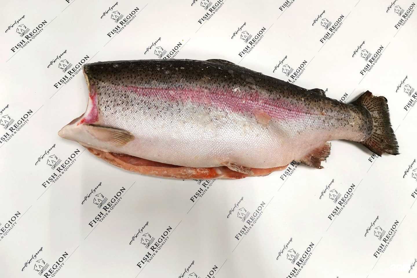 Отзывы на компанию Рыбный регион в г. Новосибирск c фото