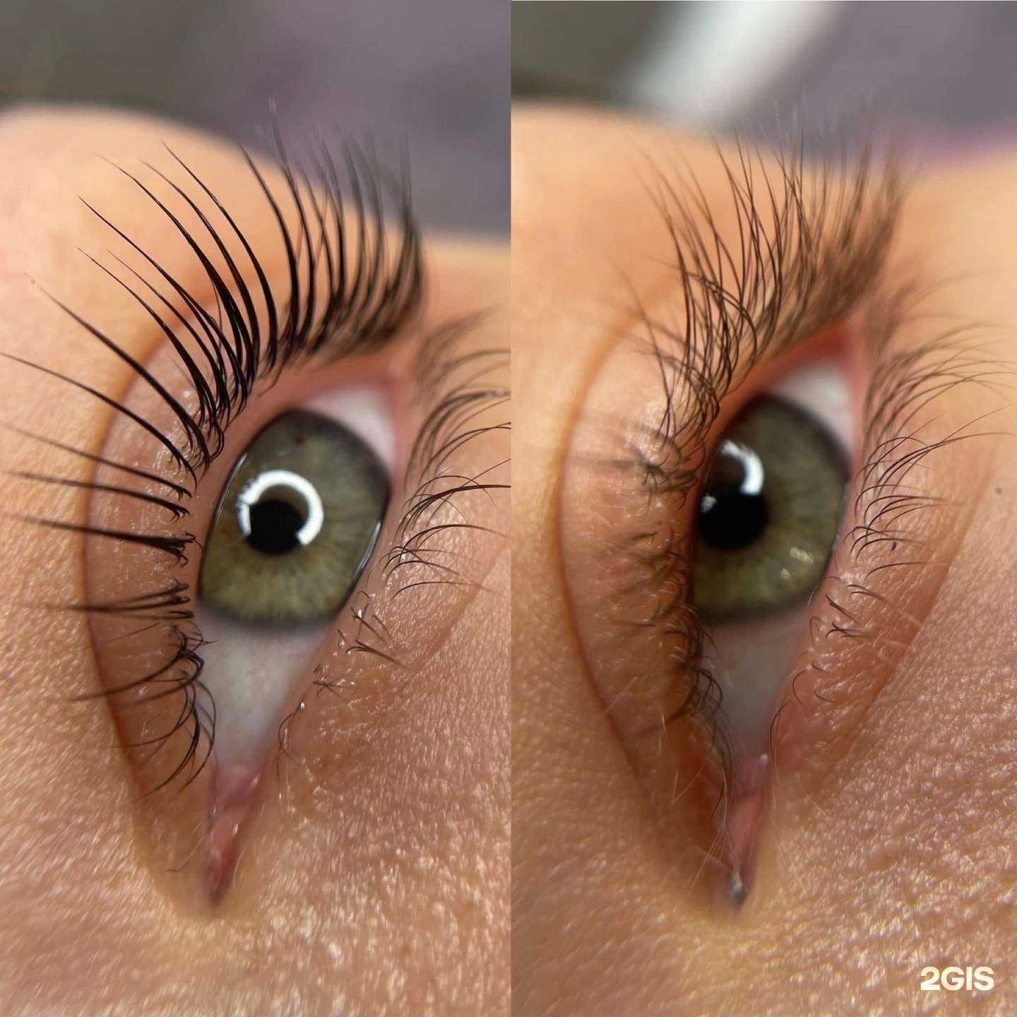 Отзывы на компанию Студия ресниц и бровей в Мурманске c фото