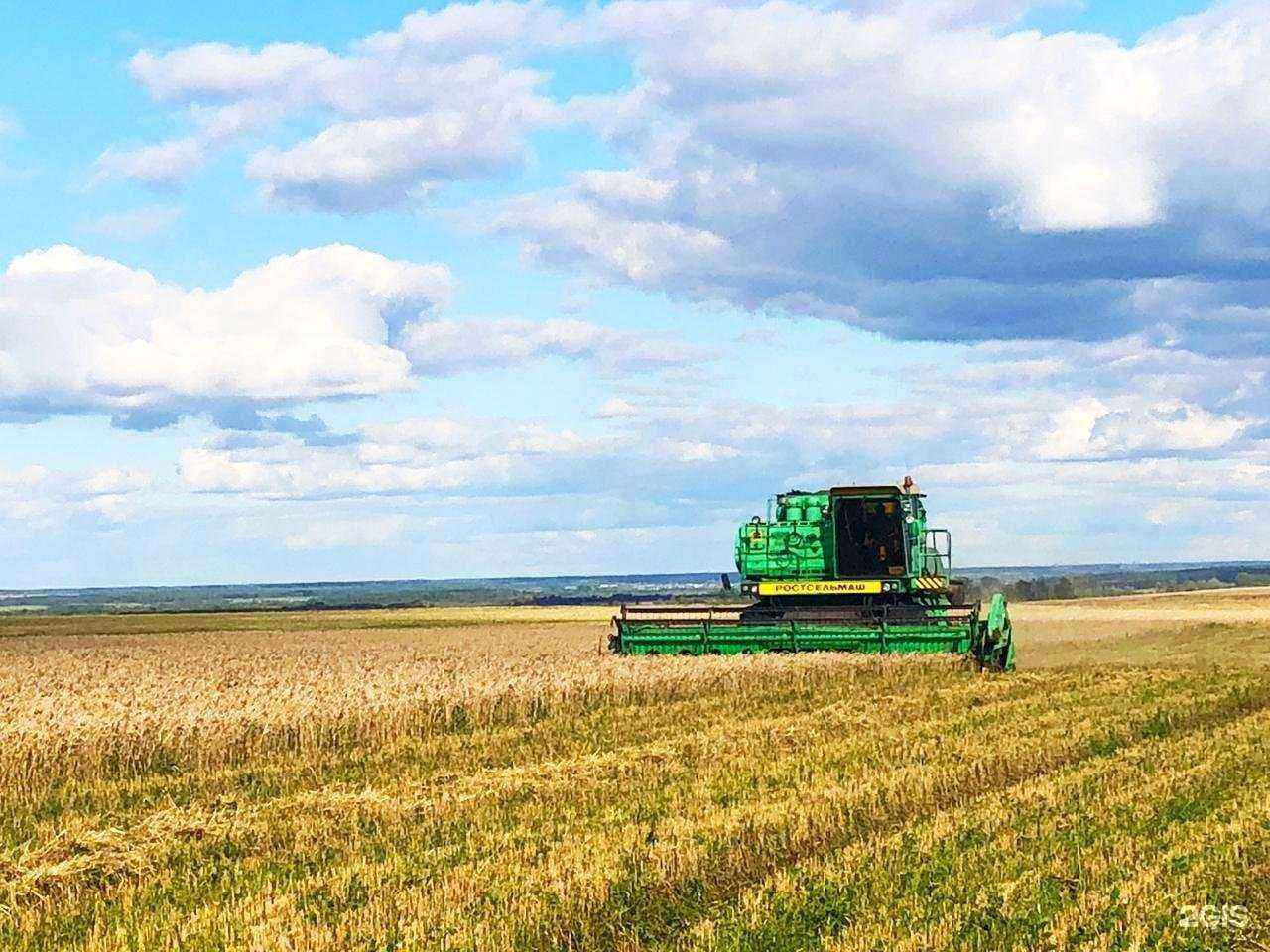 Отзывы на компанию На Вишнёвой в Серове c фото