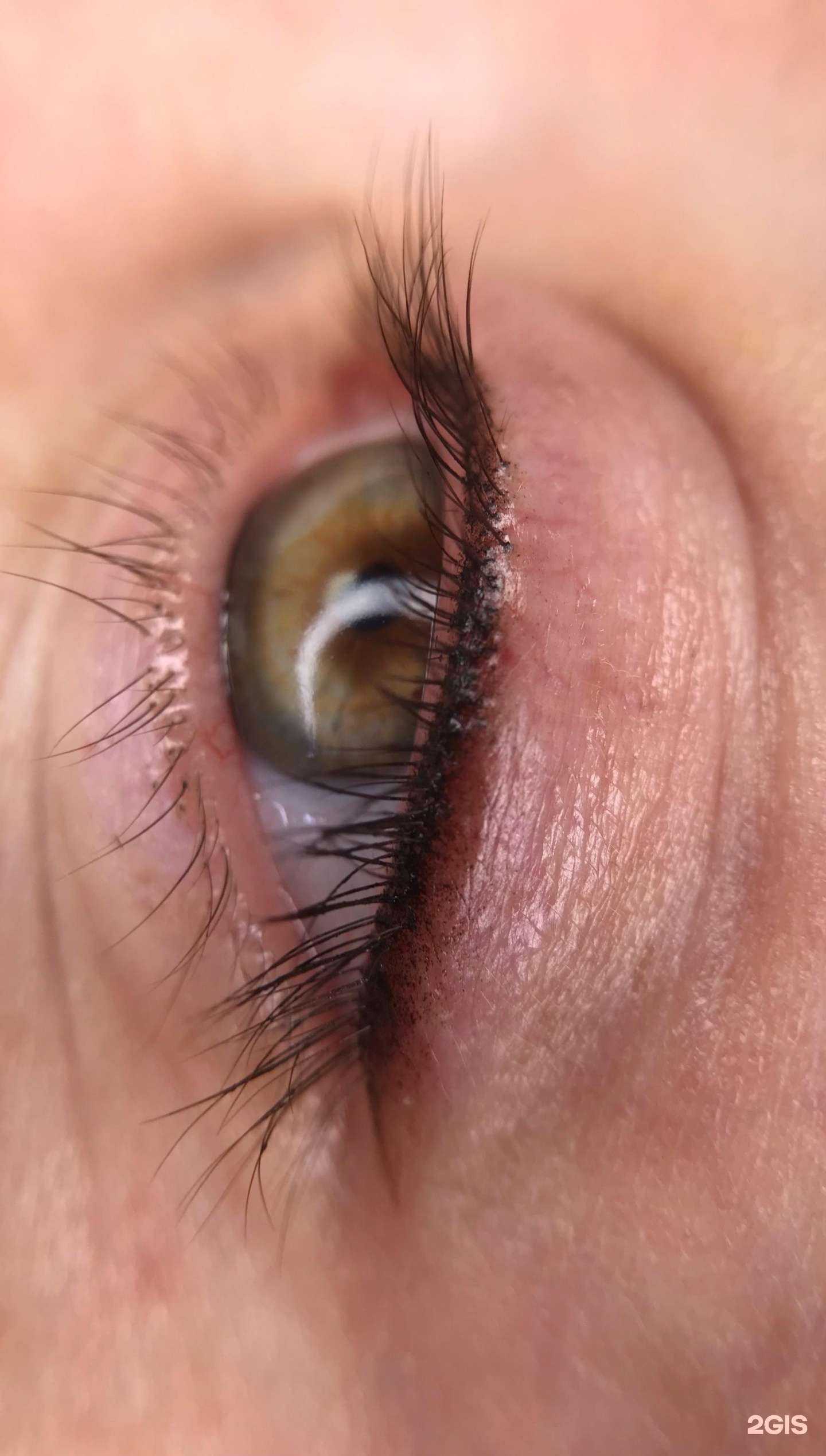 Отзывы на компанию L.I.S.A в Набережных Челнах c фото