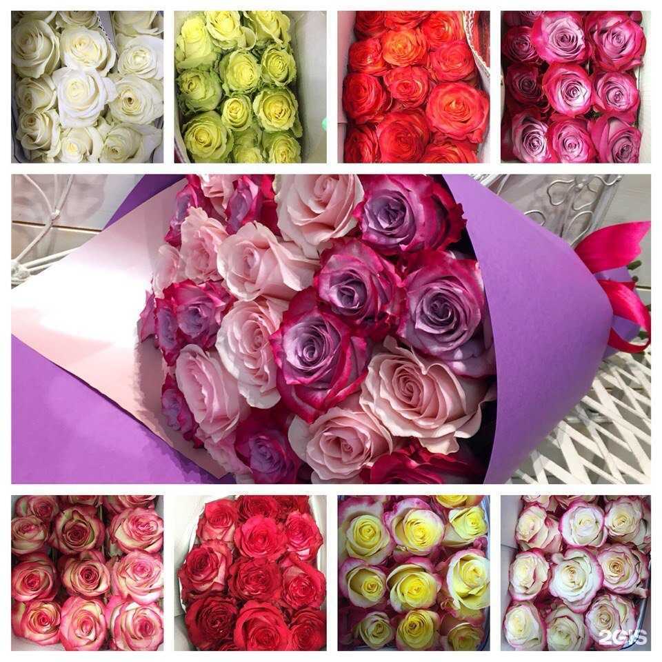 Отзывы на компанию Цветочная лавка в г. Набережные Челны c фото