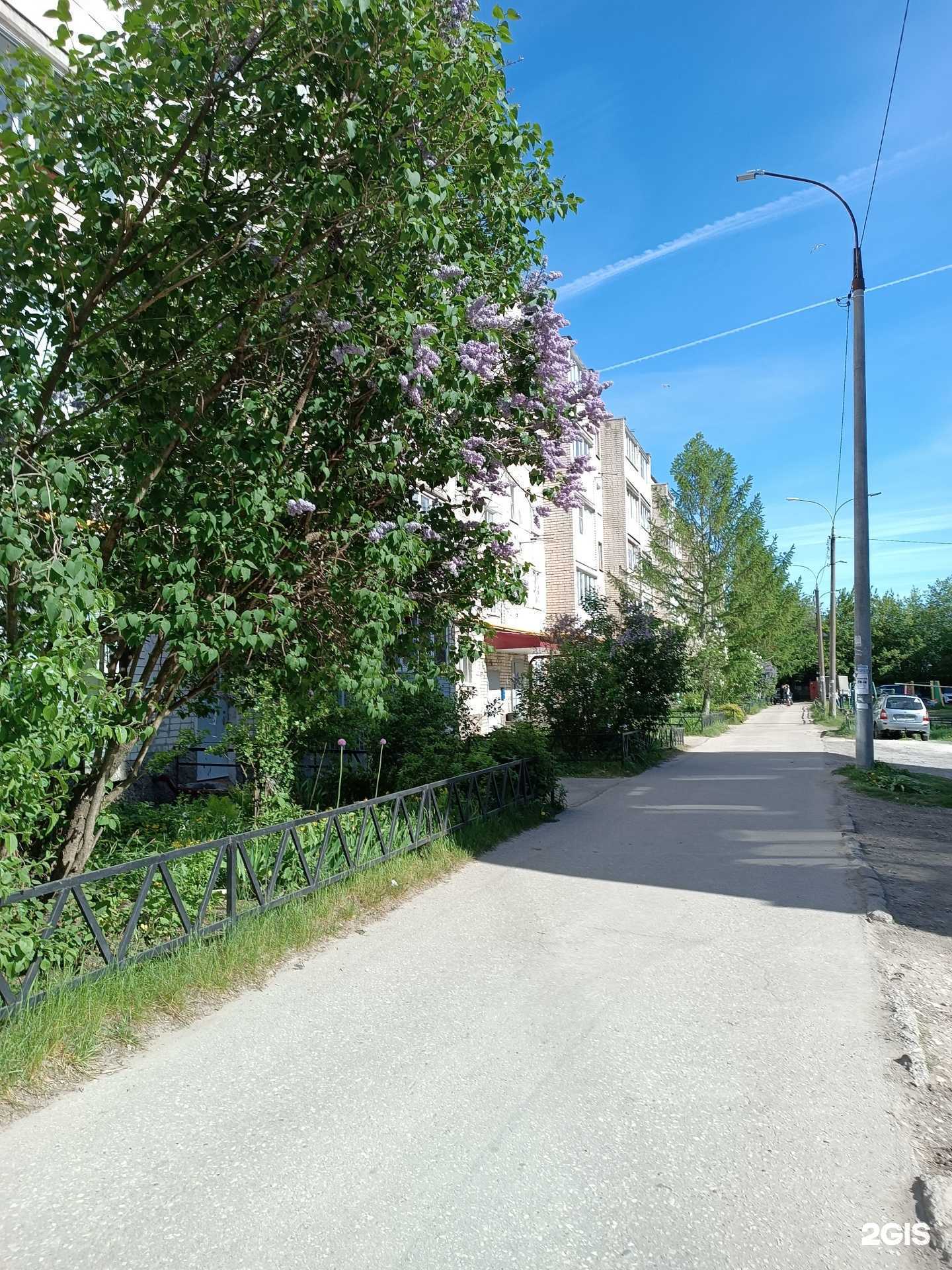 Отзывы на компанию Ватрушка в Боре c фото - фотография 2 из 2