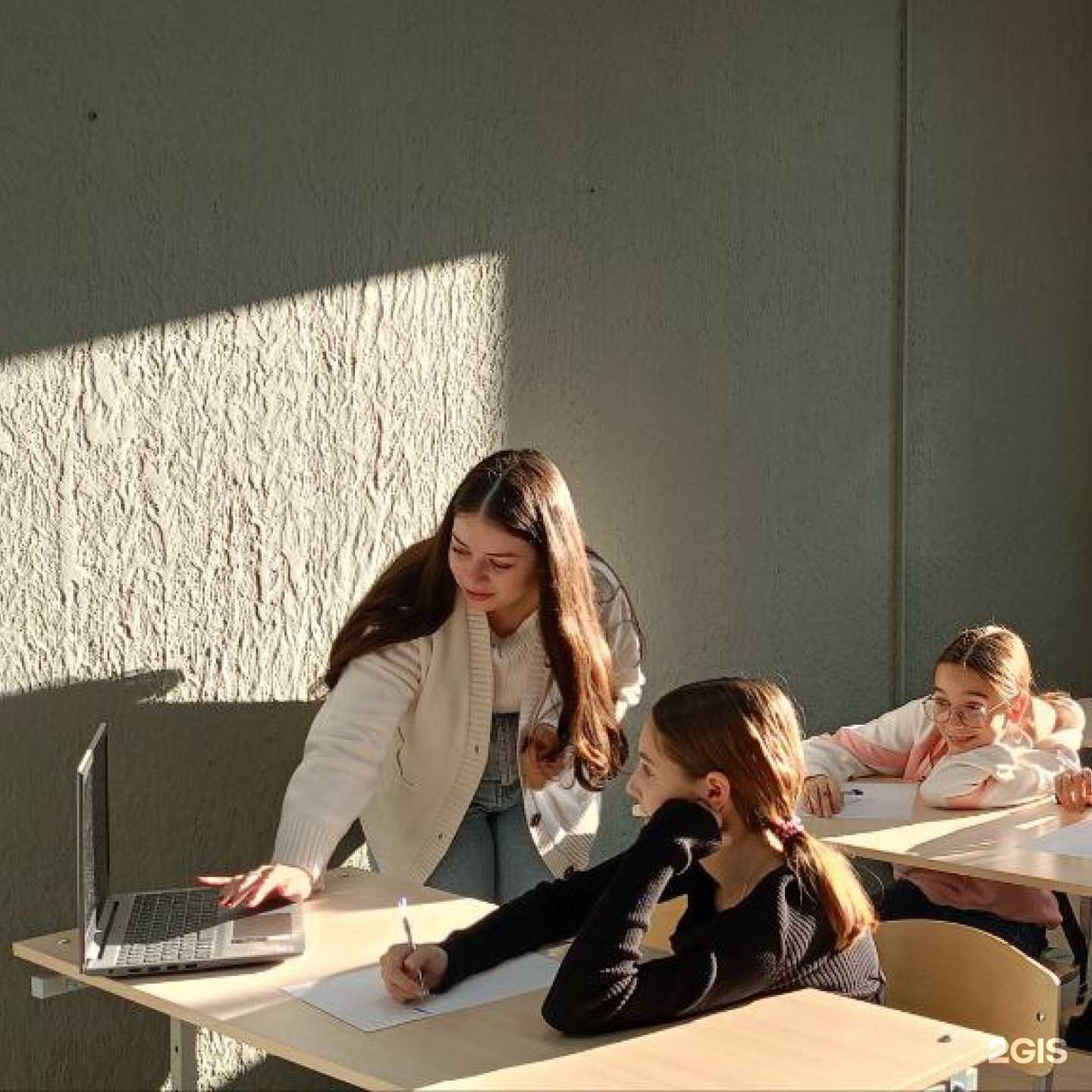 Отзывы на компанию Лорд Корги в г. Краснодар c фото