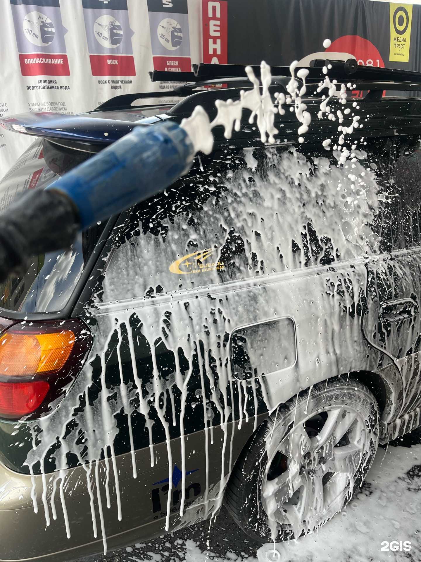 Отзывы на компанию Слон в Калининграде c фото