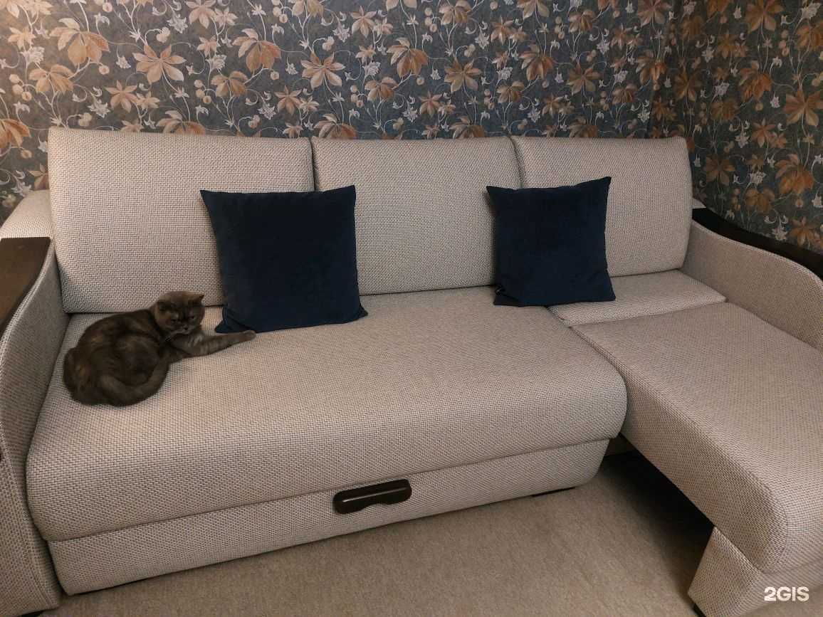 Отзывы на компанию Асм мебель в г. Новосибирск c фото