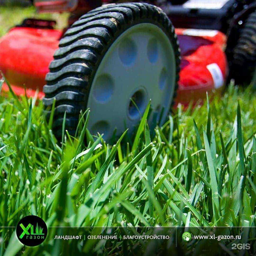 Отзывы на компанию Хл газон в Долгопрудном c фото