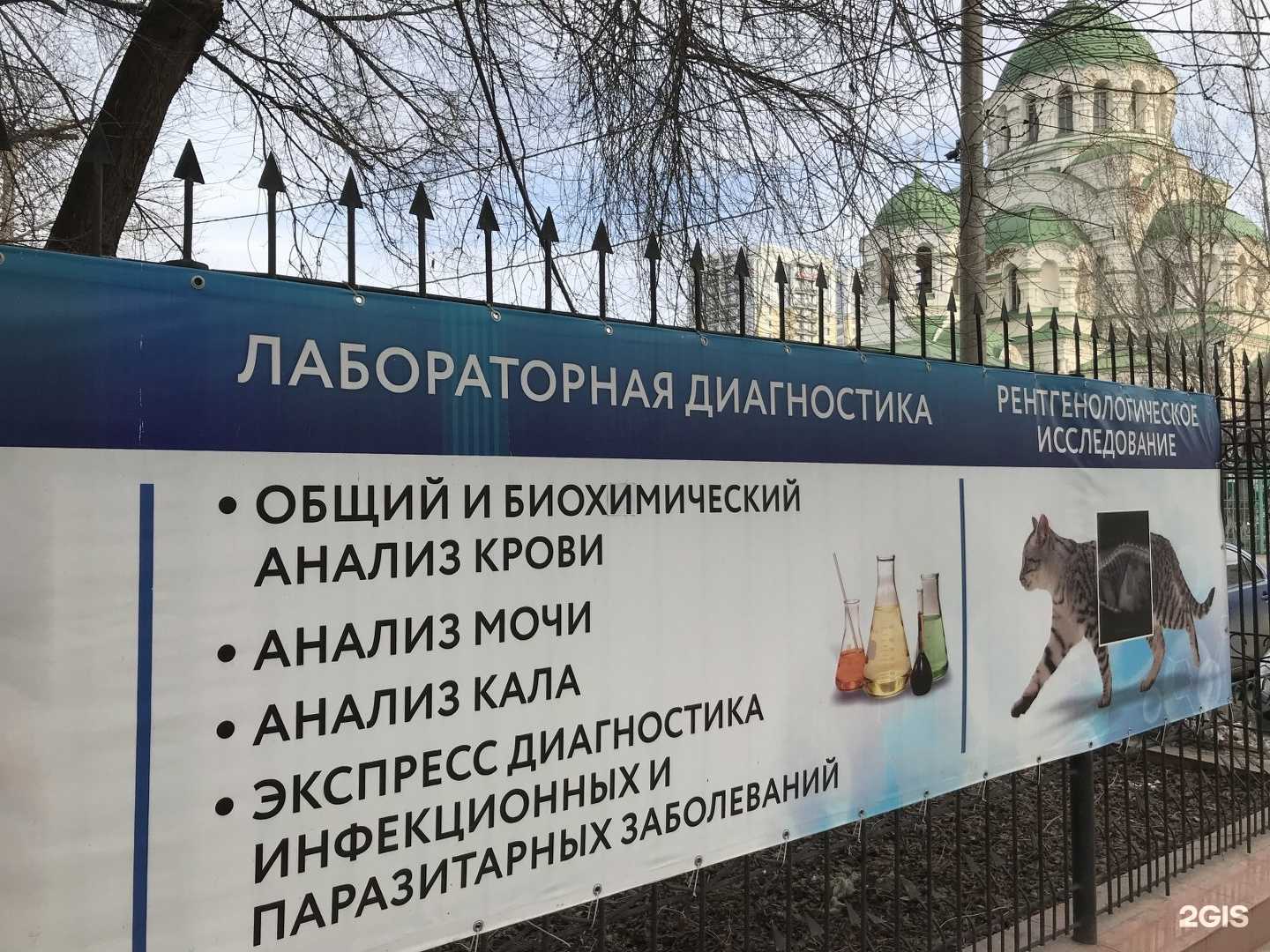 Отзывы на компанию Ветеринарная клиника в г. Астрахань c фото