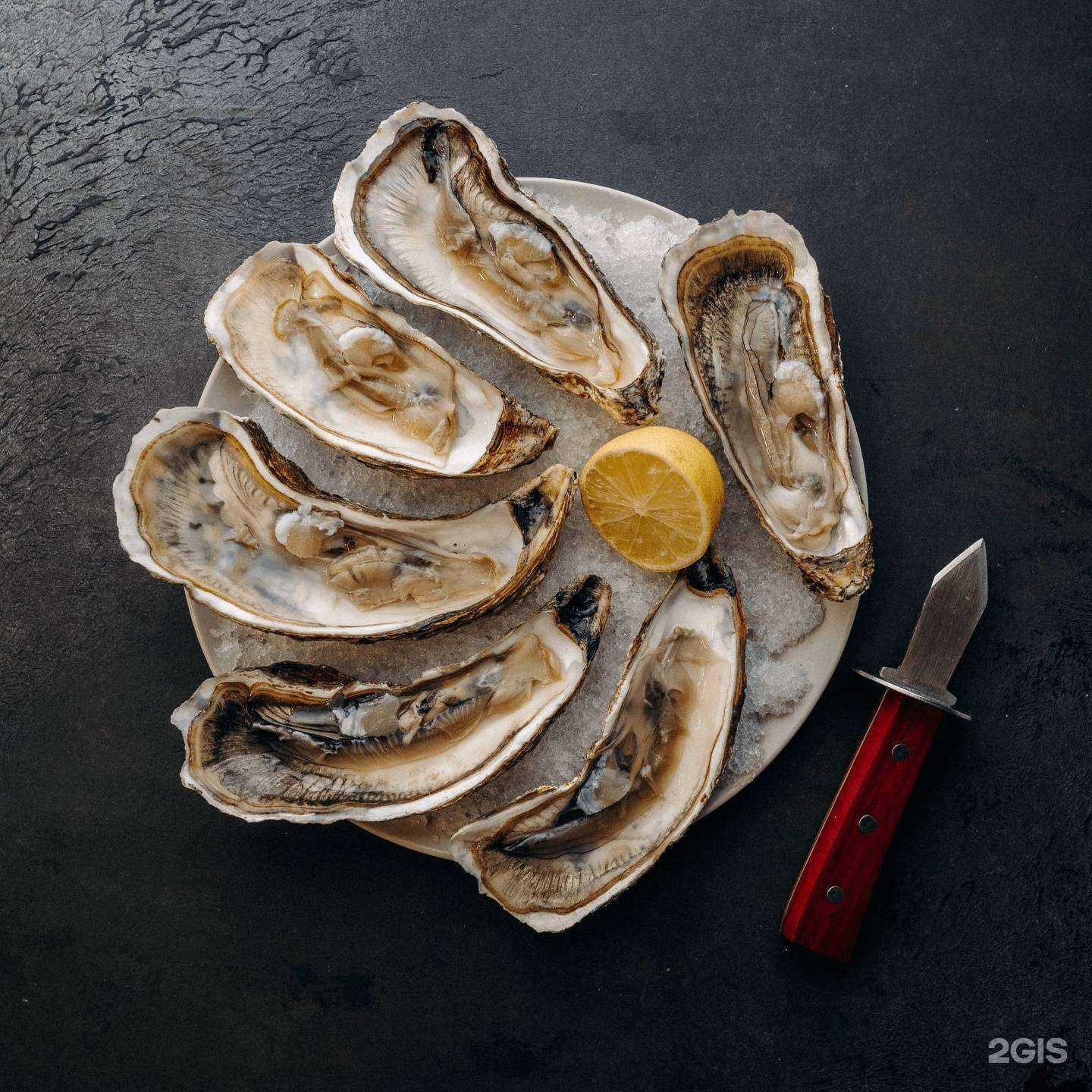 Отзывы на компанию Устрица & краб в г. Иркутск c фото