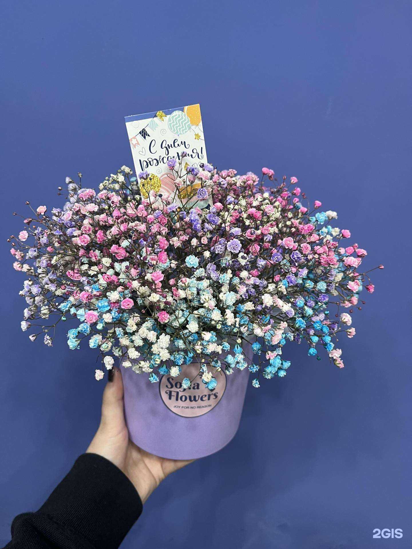 Отзывы на компанию Sofia flowers в Челябинске c фото