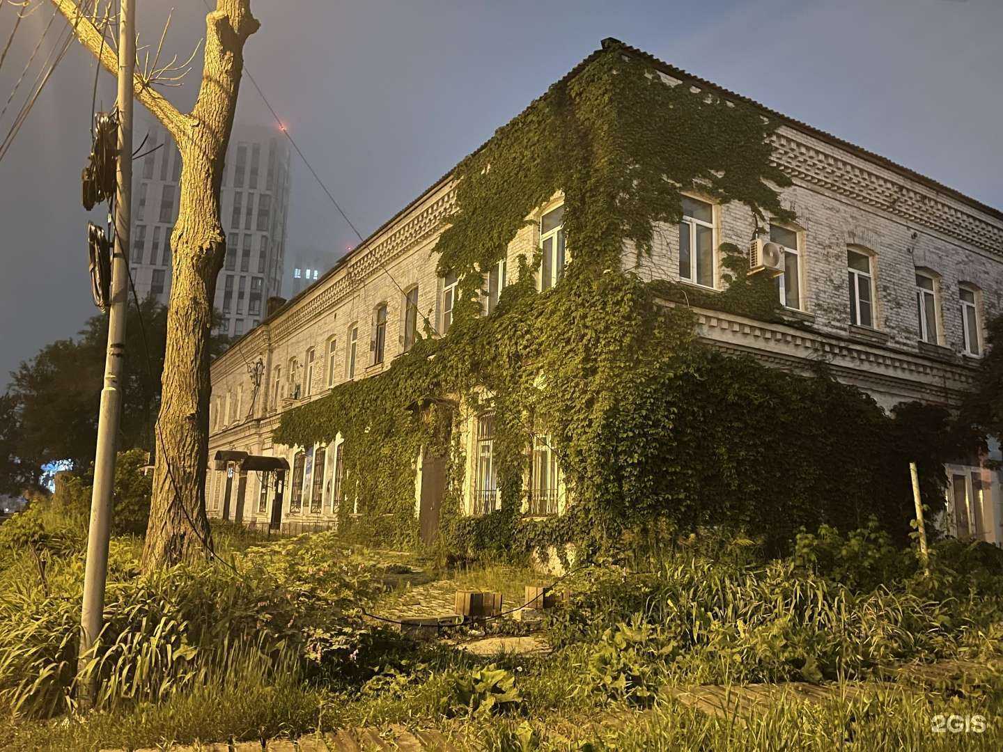 Отзывы на компанию Серый кот в г. Владивосток c фото