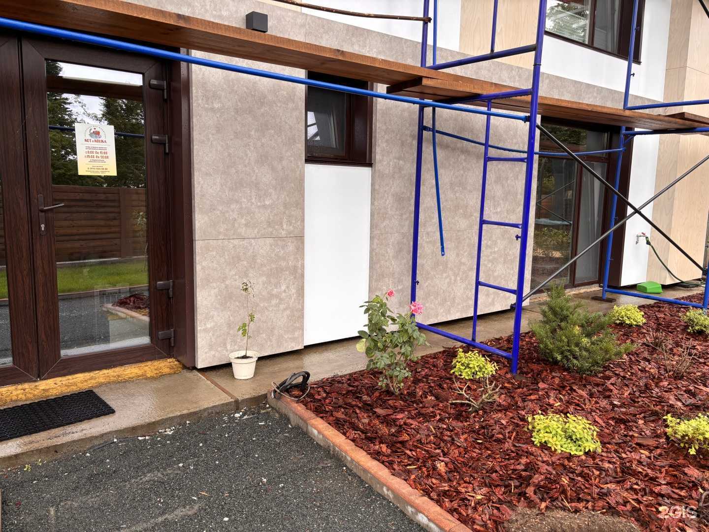 Отзывы на компанию Кот и кошка в г. Владивосток c фото