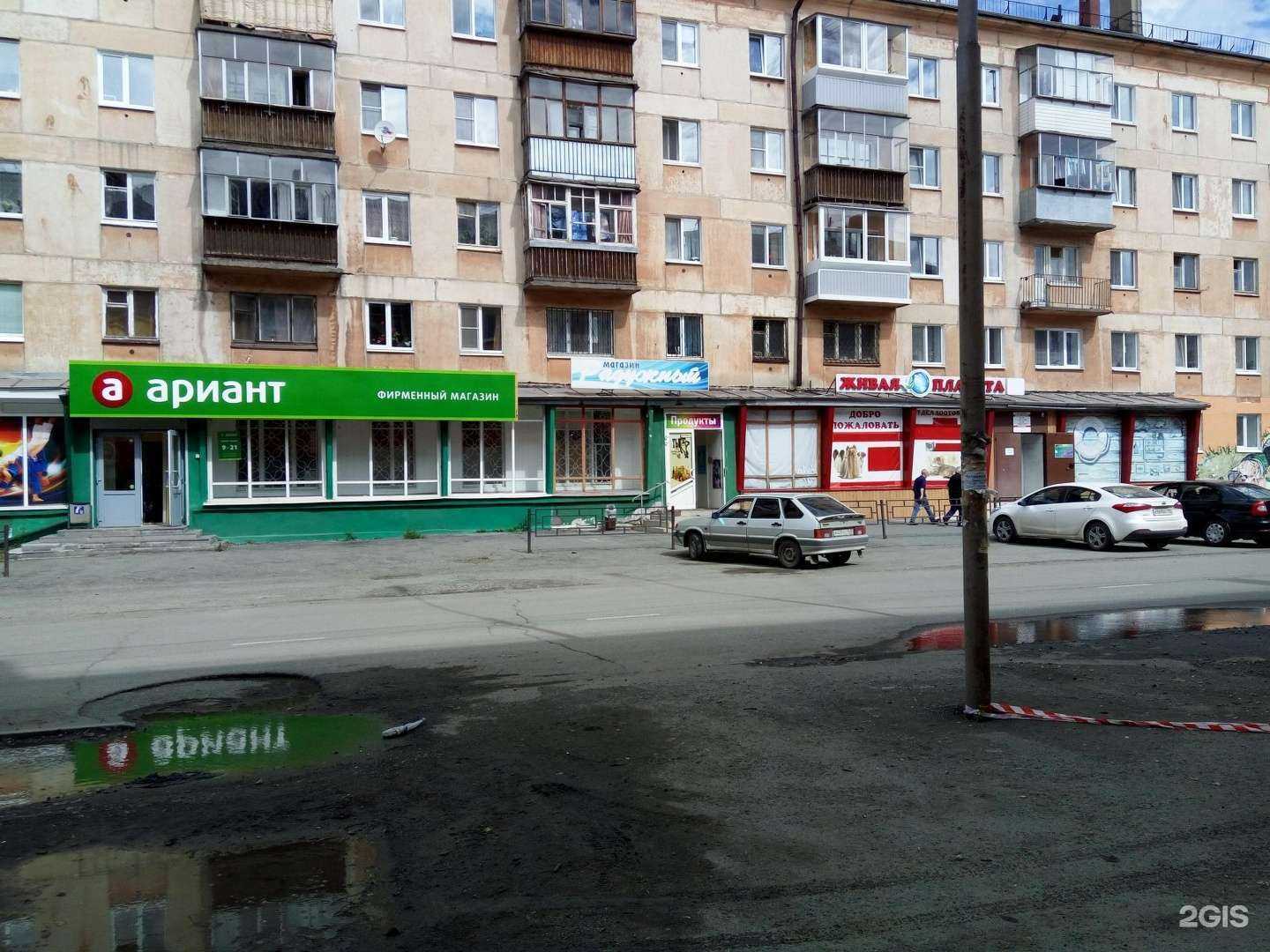 Отзывы на компанию Живая планета в Нижнем Тагиле c фото