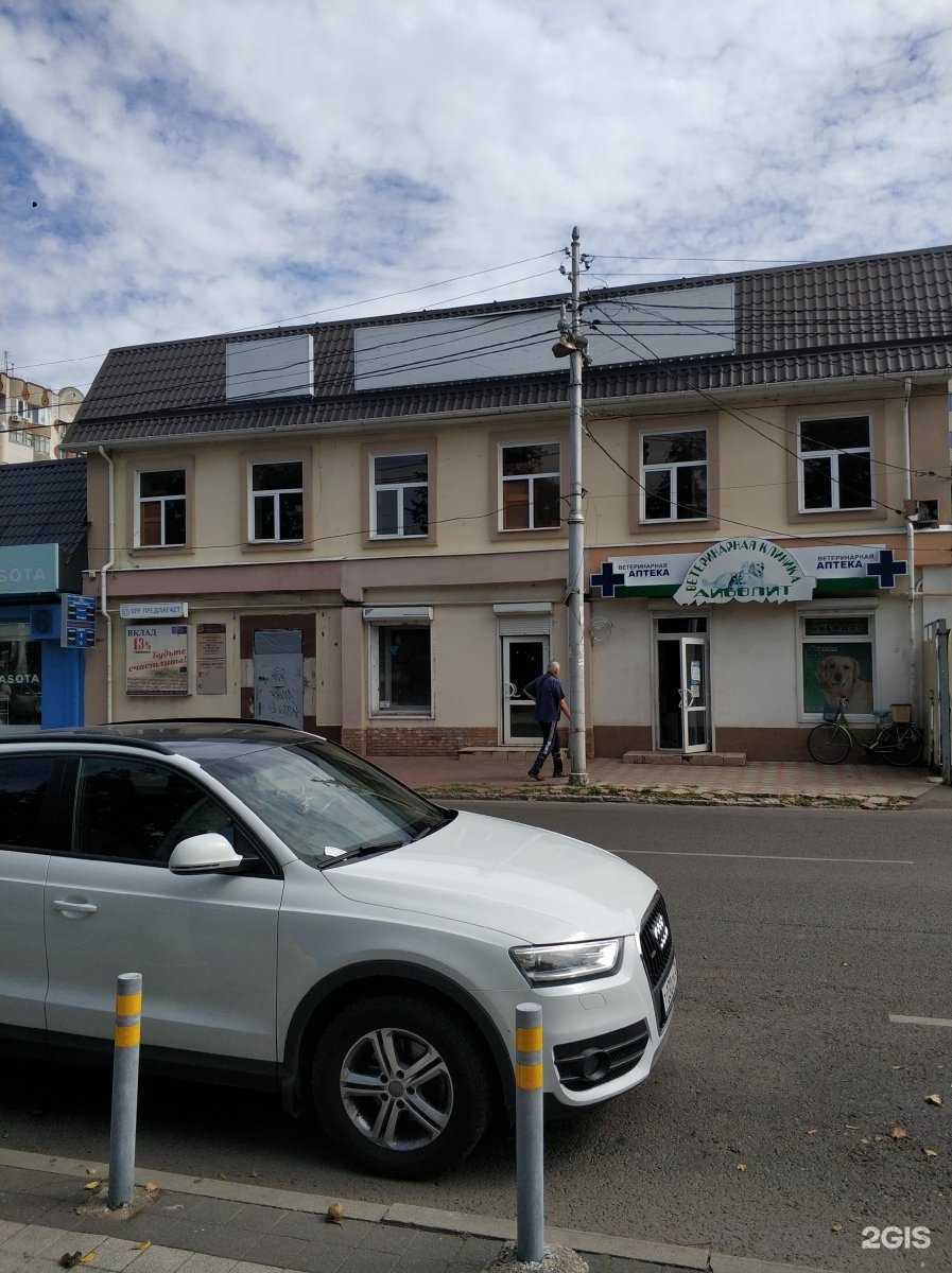 Отзывы на компанию Зоомаркет в Краснодаре c фото - фотография 2 из 2