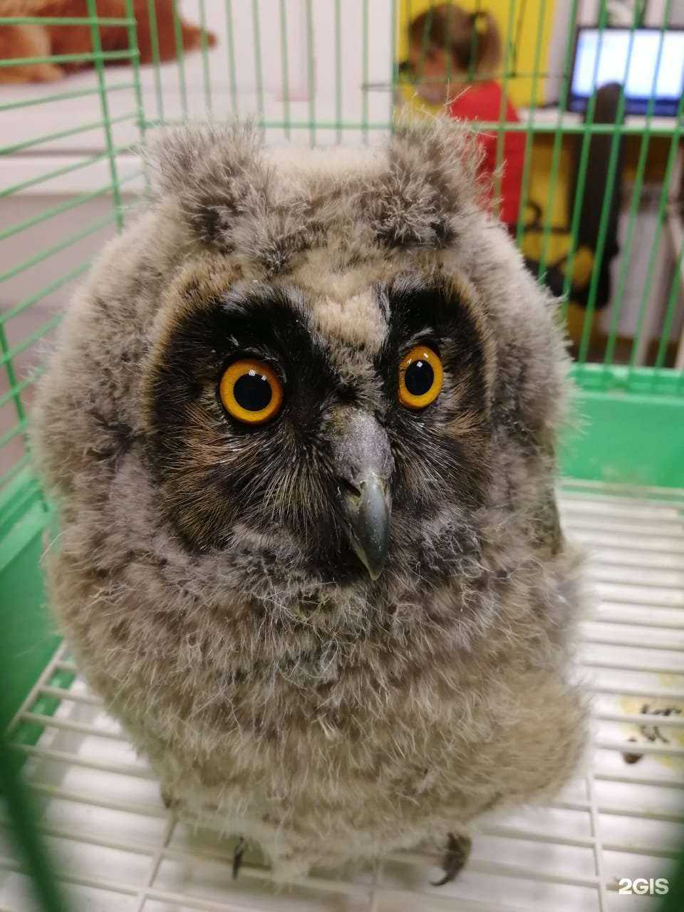 Отзывы на компанию Ветклиника №1 в г. Ростов-на-Дону c фото