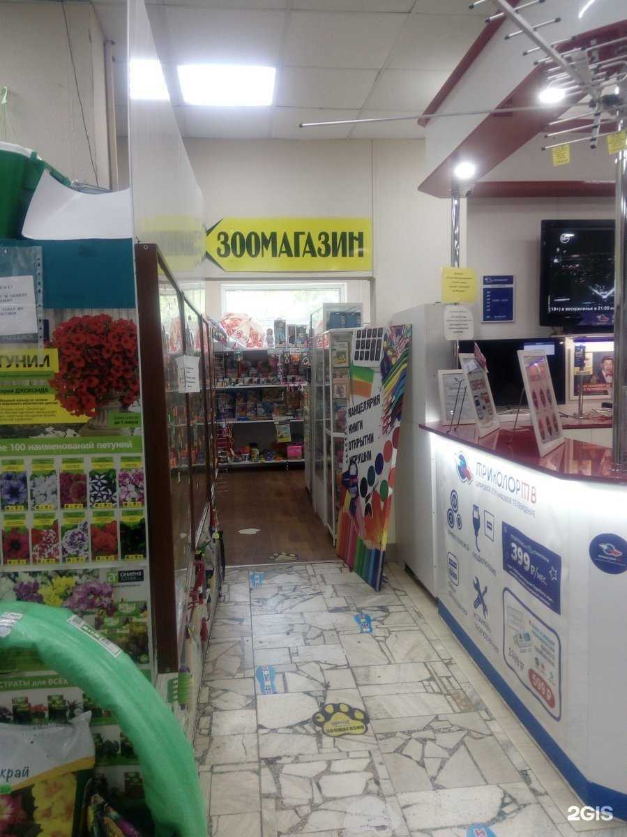 Отзывы на компанию Кис`с в Красноярске c фото