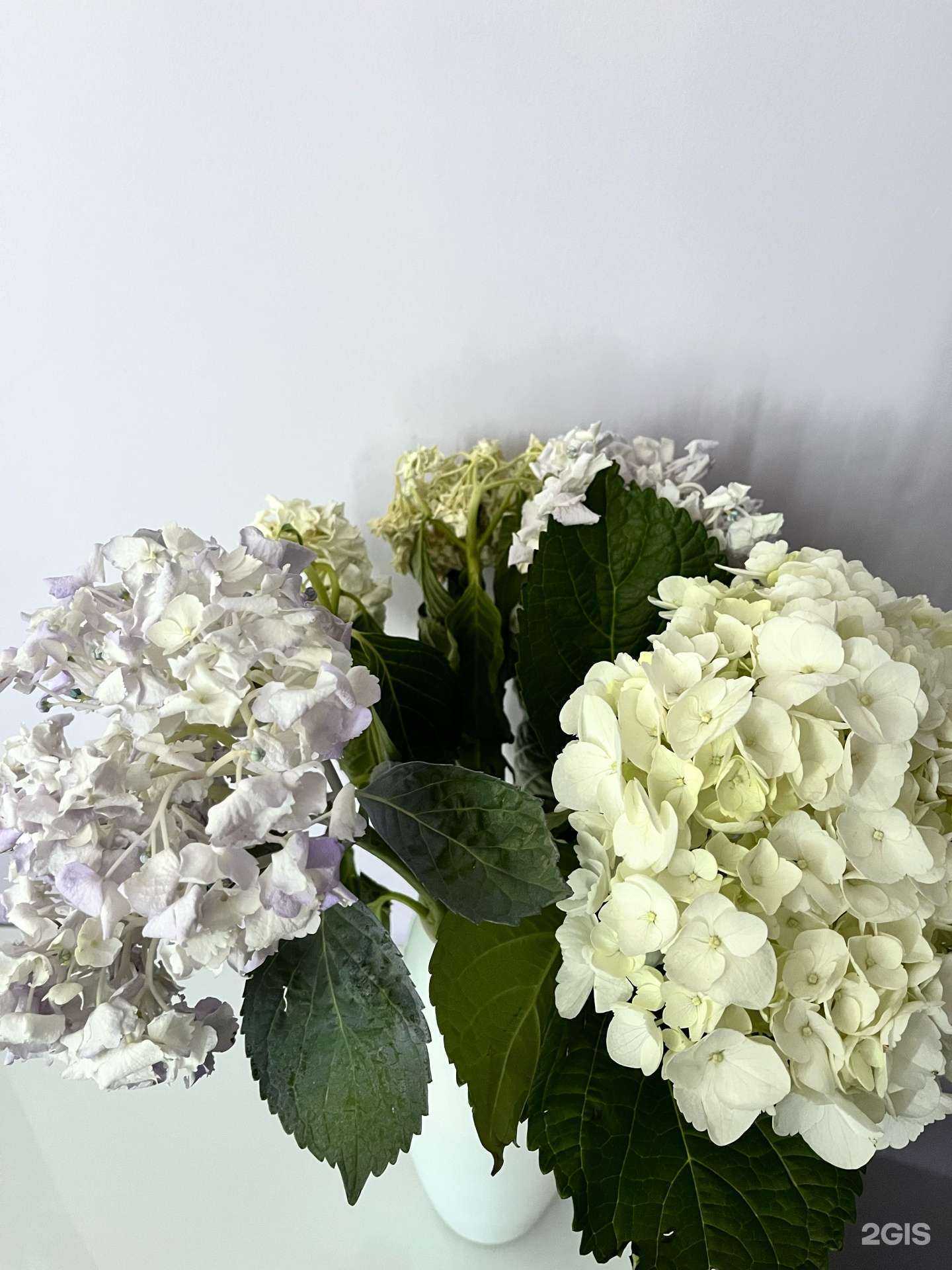 Отзывы на компанию Цветик-семицветик в Воронеже c фото