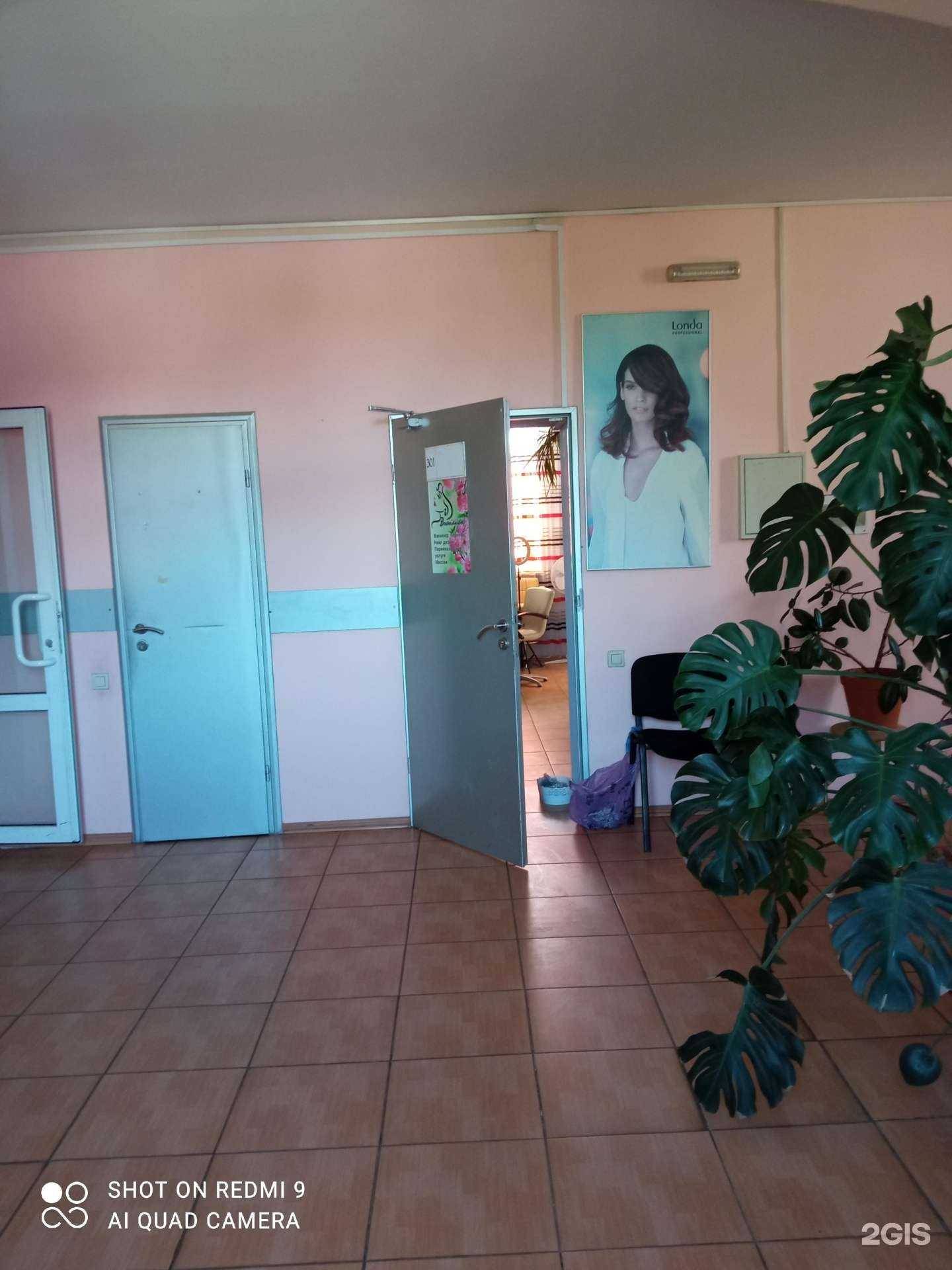 Отзывы на компанию Василиса в Калининграде c фото