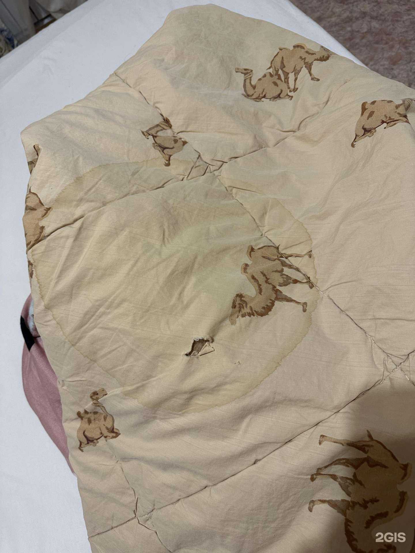 Отзывы на компанию Прачечная быстрого обслуживания в Челябинске c фото