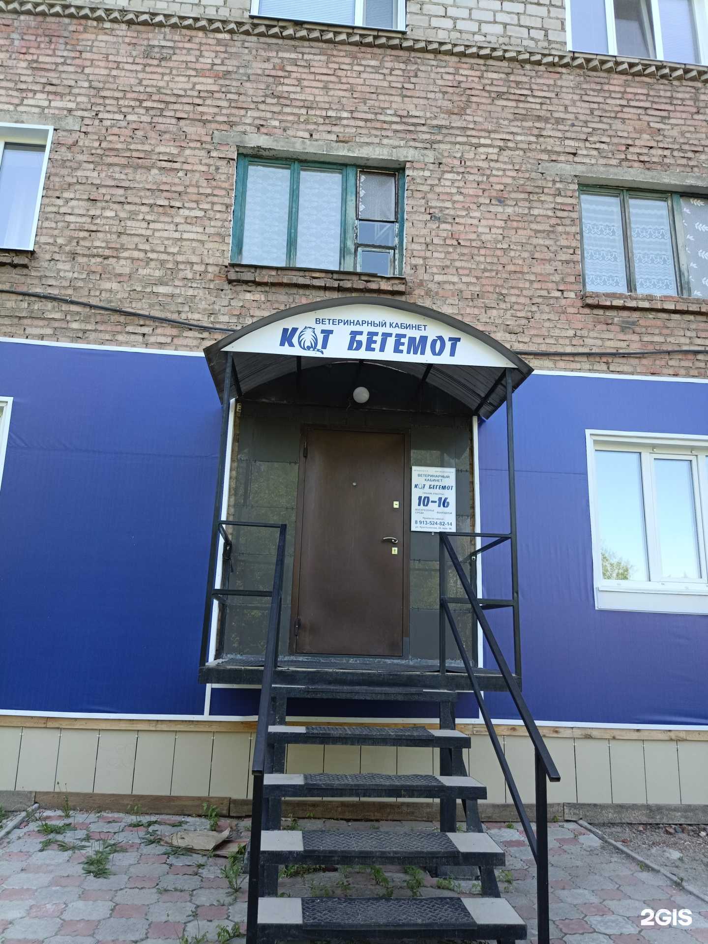 Отзывы на компанию Кот бегемот в Канске c фото