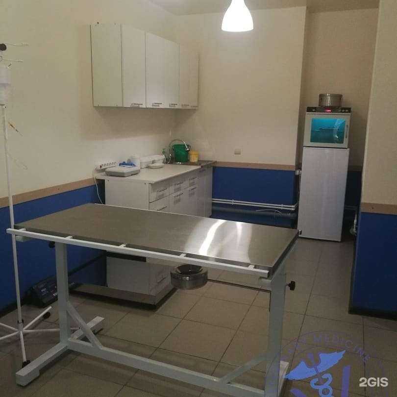 Отзывы на компанию Animal Clinic в Астрахани c фото