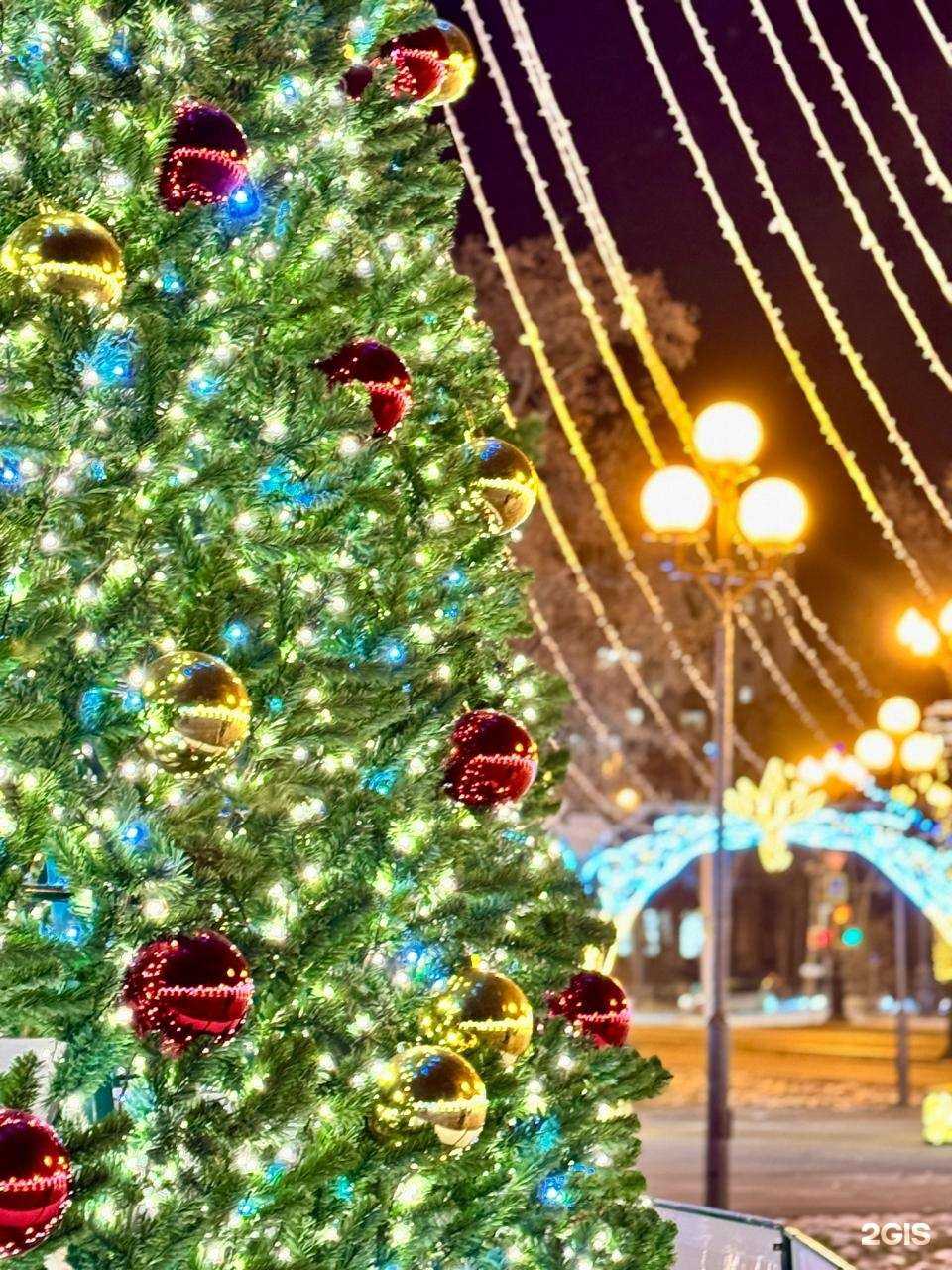 Отзывы на компанию Кадастр и Недвижимость в Южно-Сахалинске c фото