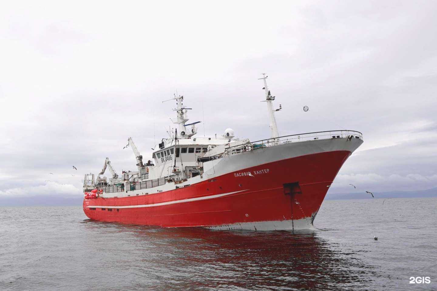 Отзывы на компанию Антей в Владивостоке c фото