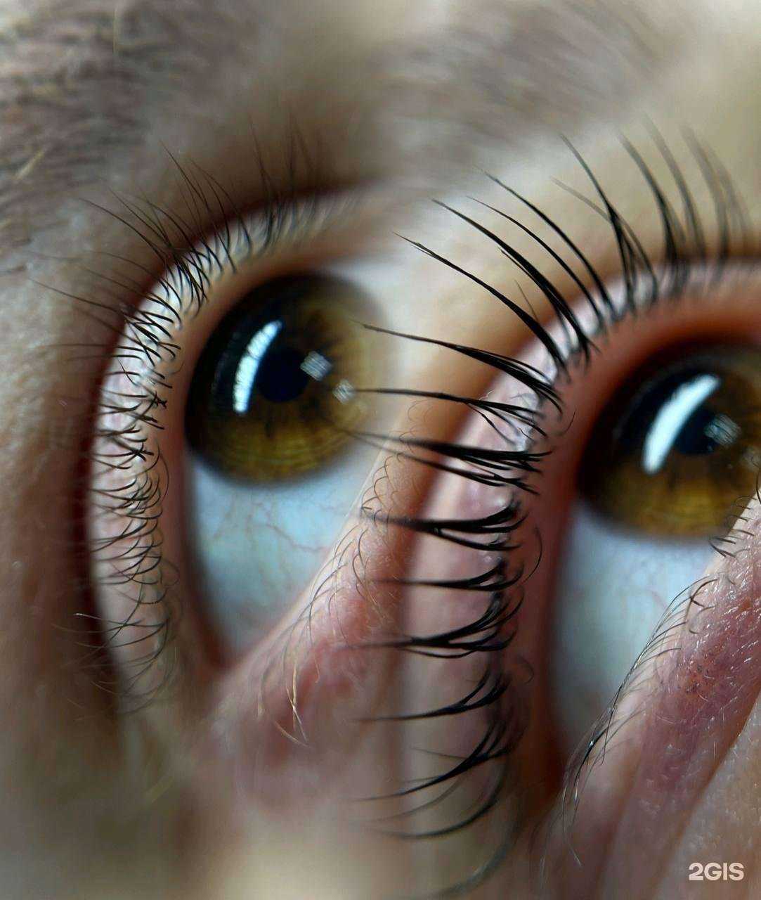 Отзывы на компанию Lashtop в г. Комсомольск-на-Амуре c фото