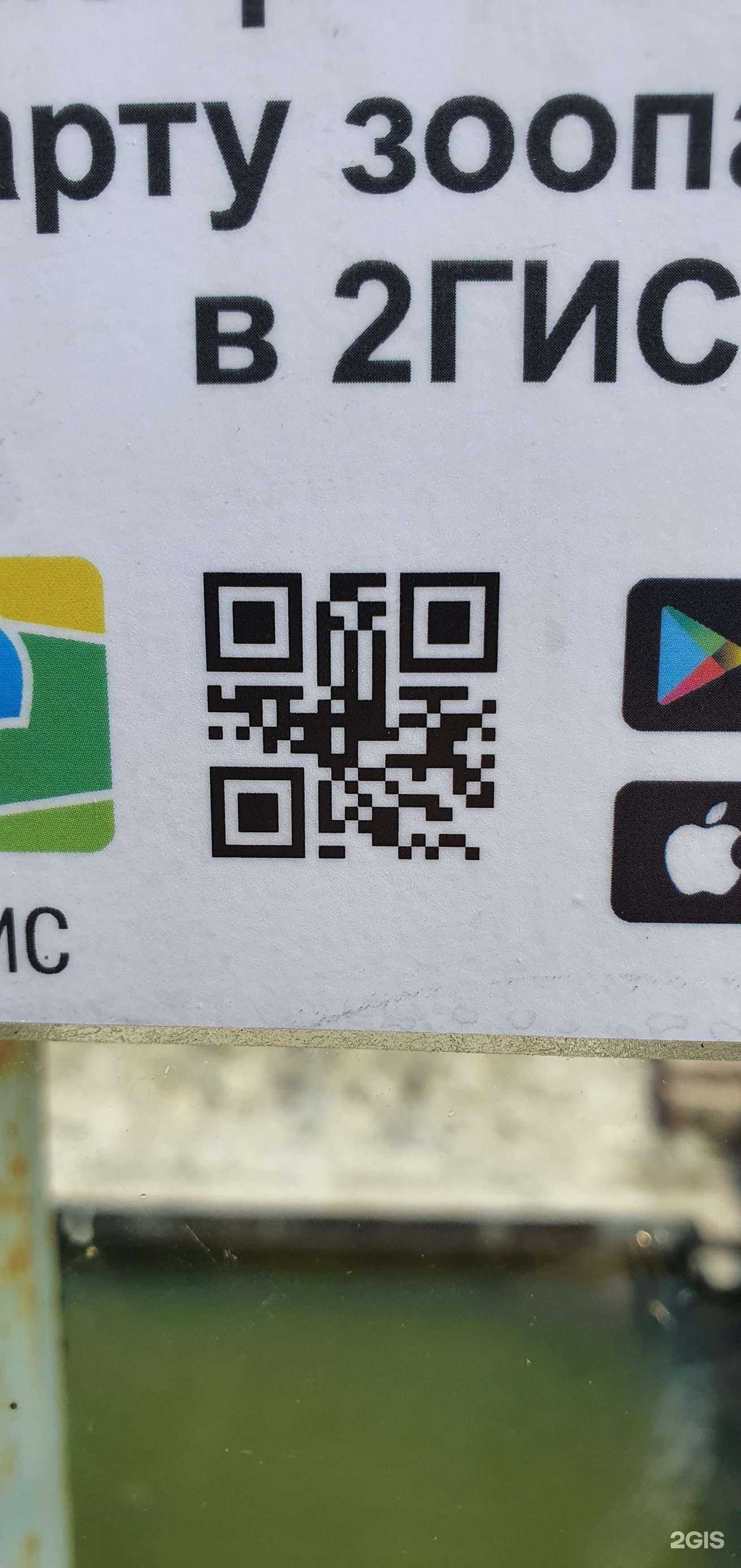 Отзывы на компанию Зоосад 18 в Ижевске c фото - фотография 2 из 2