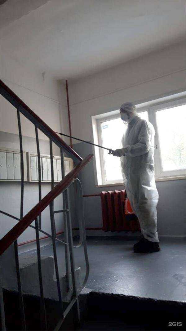 Отзывы на компанию ДИС в Иркутске c фото