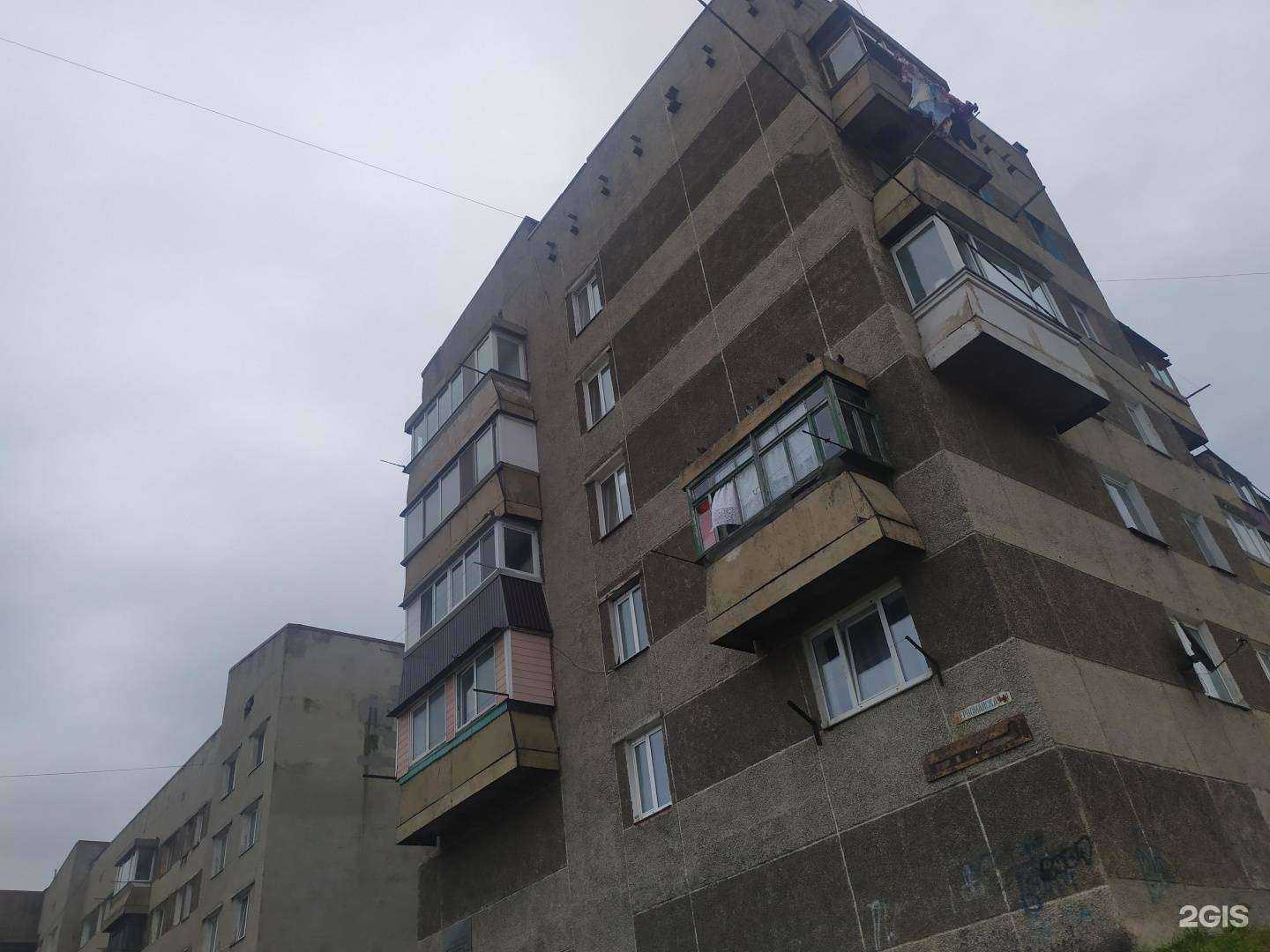 Отзывы на компанию Лапушка в Холмске c фото - фотография 2 из 2