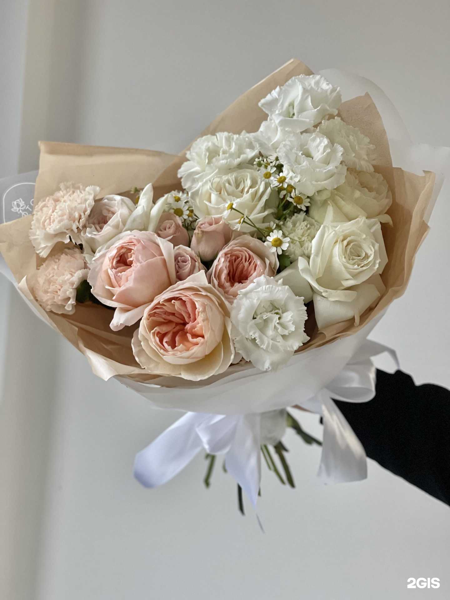 Отзывы на компанию Lotos в Новосибирске c фото